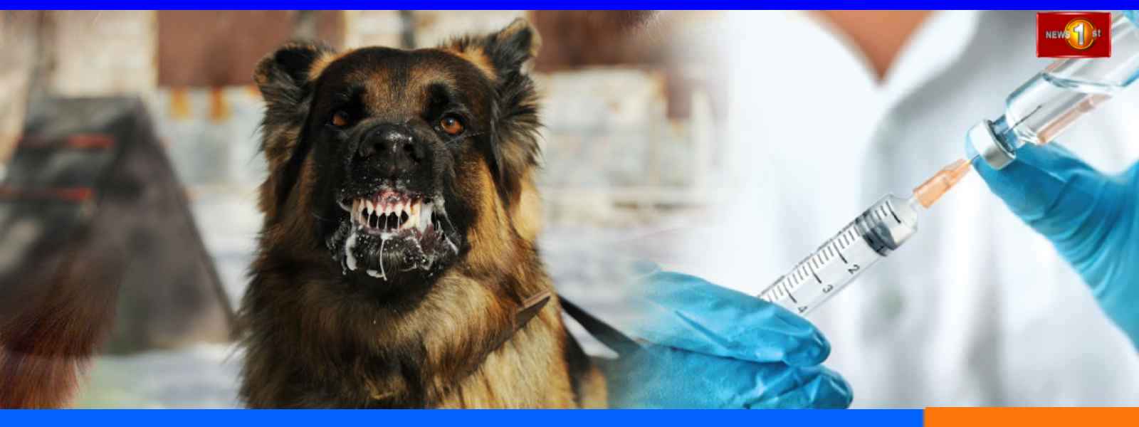 මෙරටින් ජලභීතිකා මරණ 20 ක්...